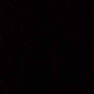 Meet your Posher, Joey